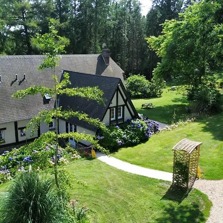 L'abri Des Cotes - Veules Les Roses Bed & Breakfast